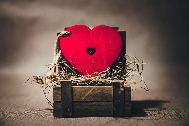 Free Heart Red photo and picture