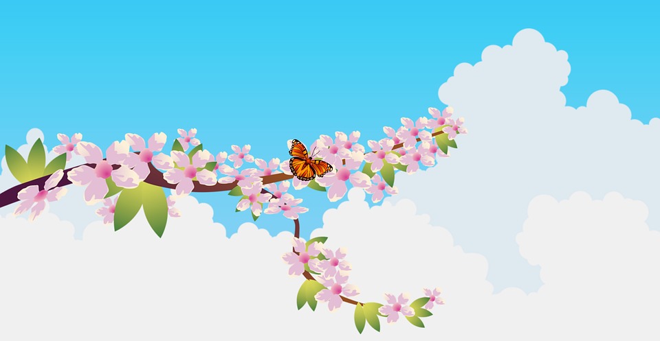 花蝴蝶开花 Pixabay上的免费图片