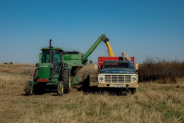 Free Harvest Fall photo and picture