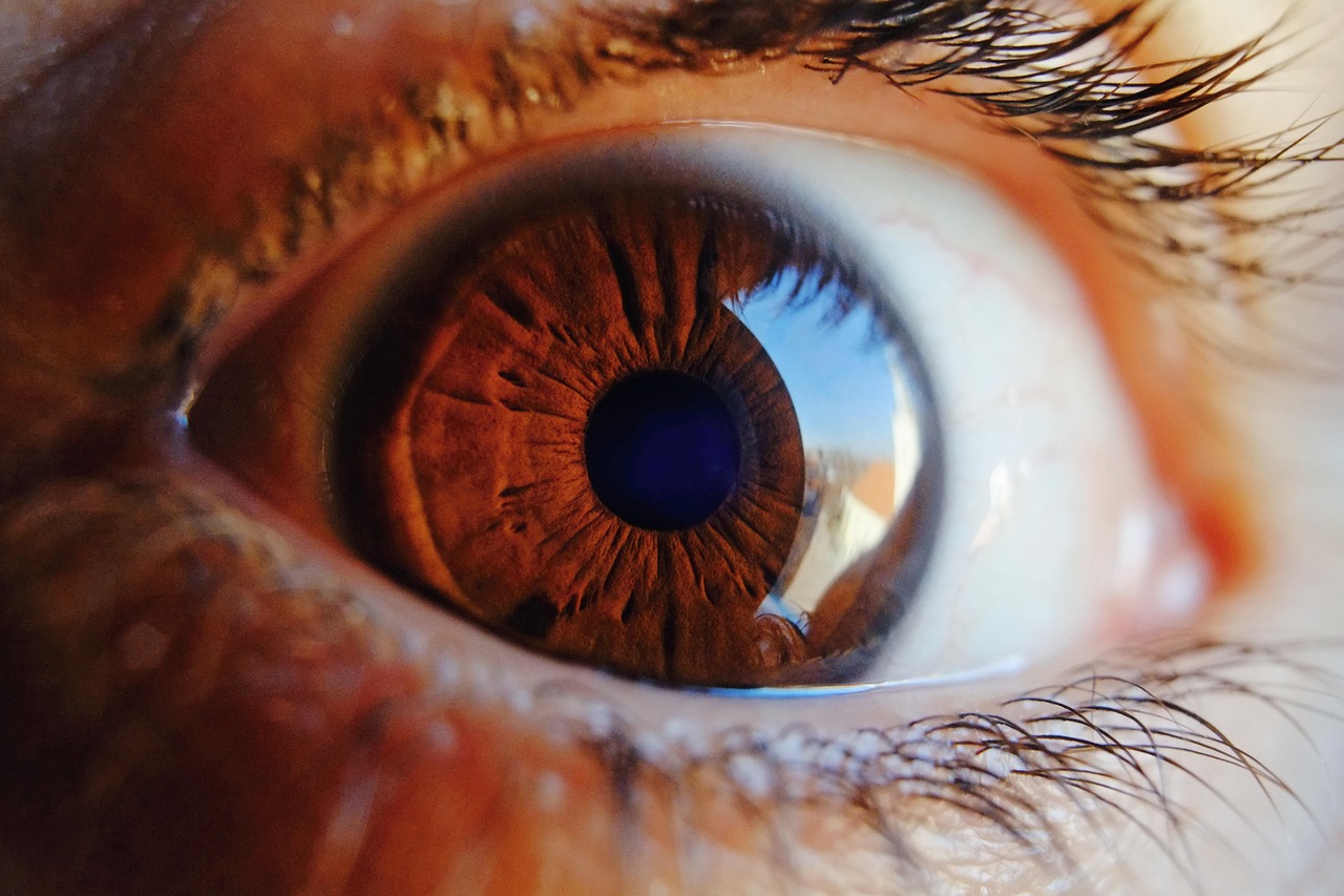 M s De 30 000 Im genes Gratis De Ojo Humano Y Ojo Pixabay