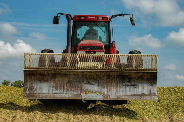Free Silage Corn photo and picture
