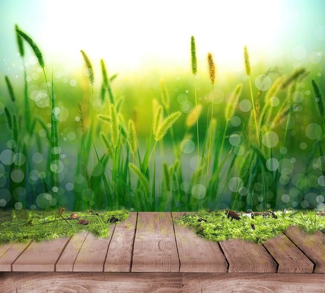 Free web grass background illustration