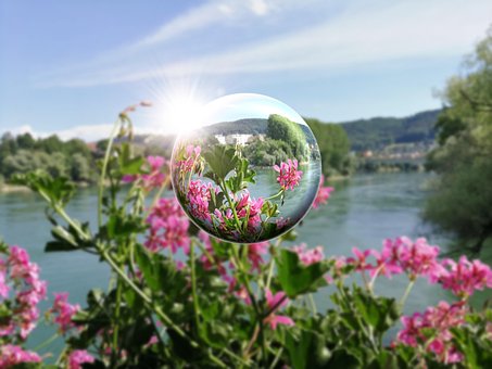 Sommerzeit, Blumen, Sommer, Blüte, Schön