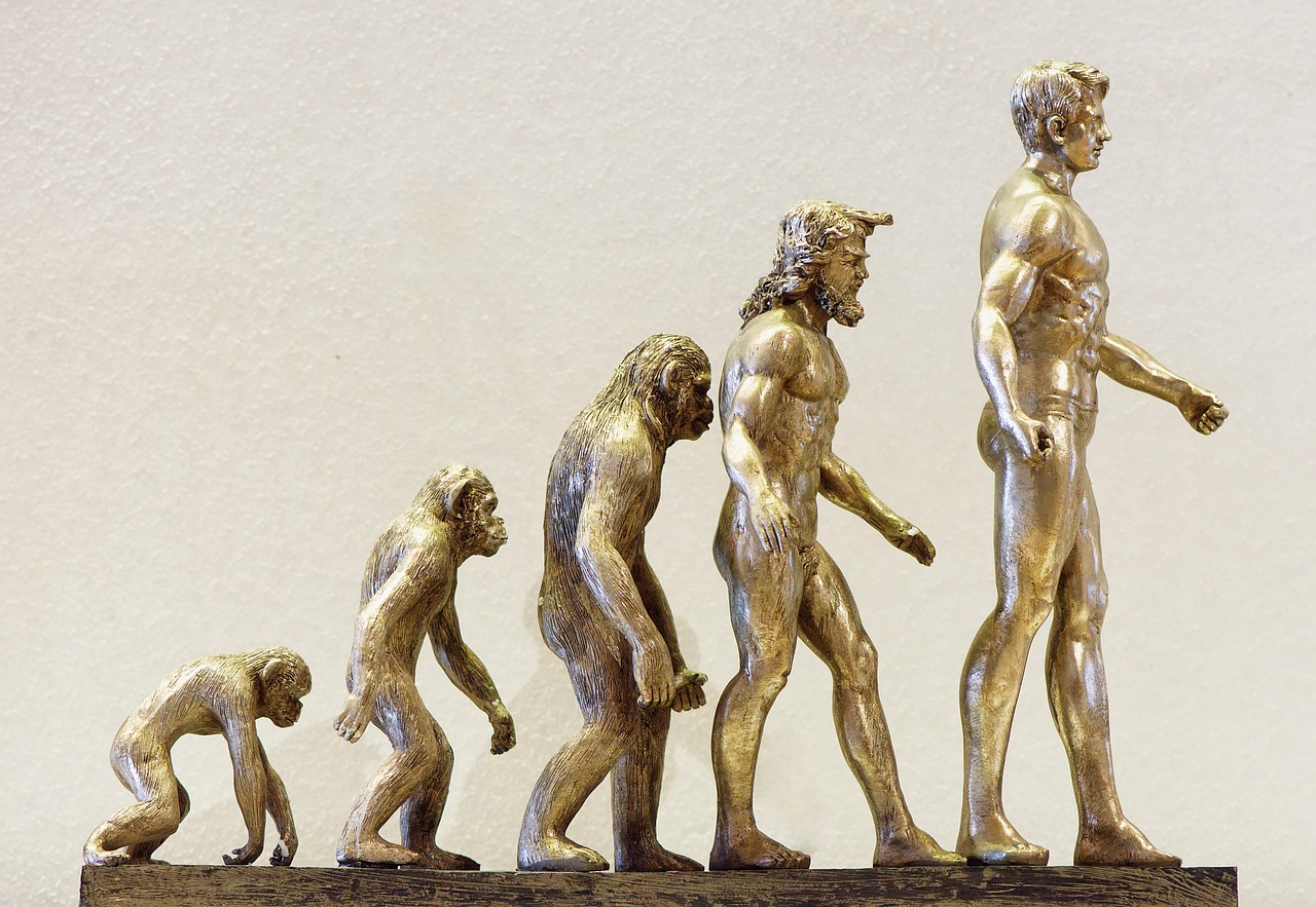 Silhouetted human figures arranged in a progression line against a gradient background.
