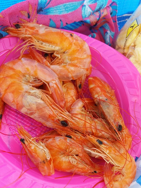 Free Shrimp Red photo and picture
