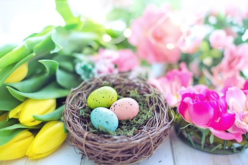 Pastel Images Téléchargez Des Images Gratuites Pixabay