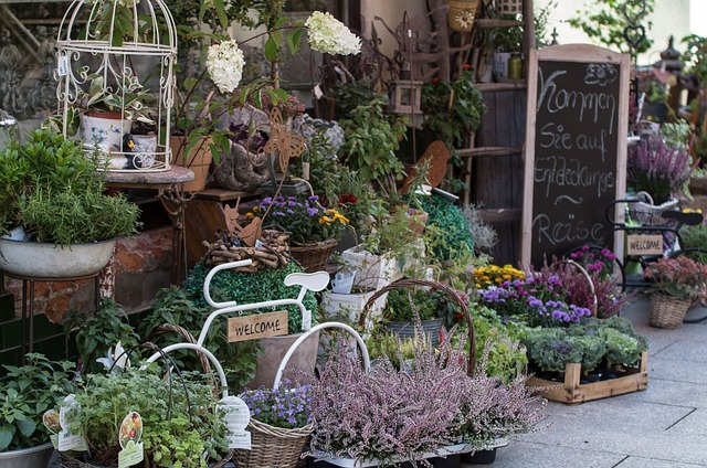 Flower Shop Nature Free Photo On Pixabay