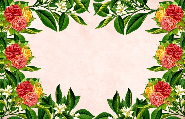 Blomst, Blomster, Baggrund, Grænse