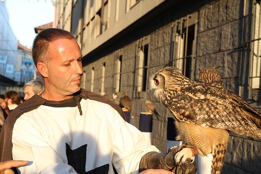 Ugle, Rovfugle, Falconer, Middelalderen
