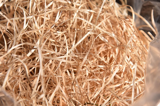Free Wood Wool Garden photo and picture