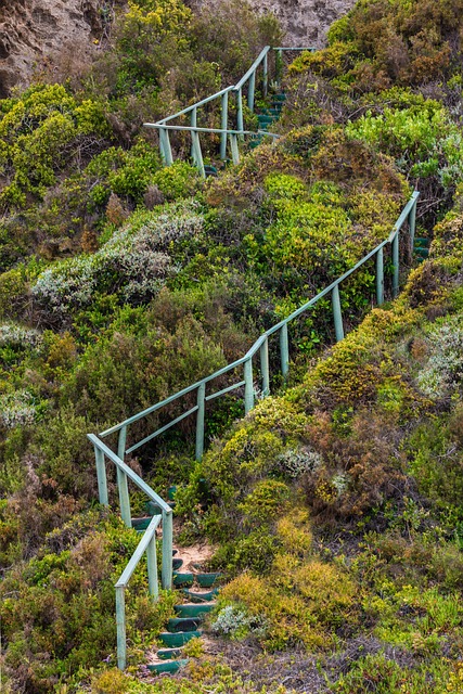 Free Stairway Handrails photo and picture