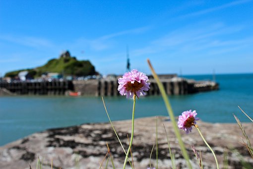 Free Ilfracombe Verity photo and picture