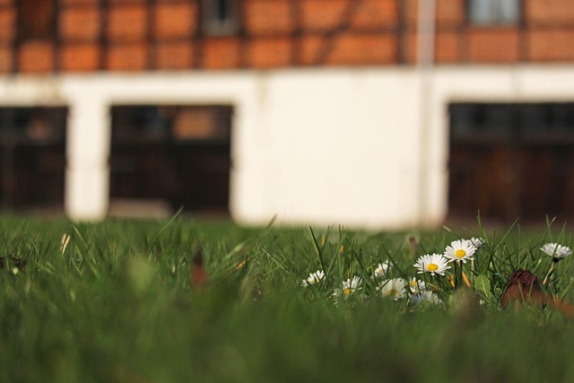Spring Meadows House Spring Meadow Half-Timbered House - Free photo on Pixabay - Pixabay