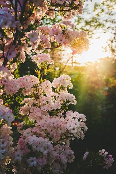 지방세체납 개인파산면책결정3