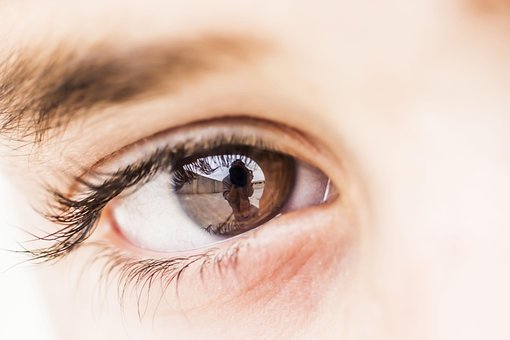 Free Eye Macro photo and picture