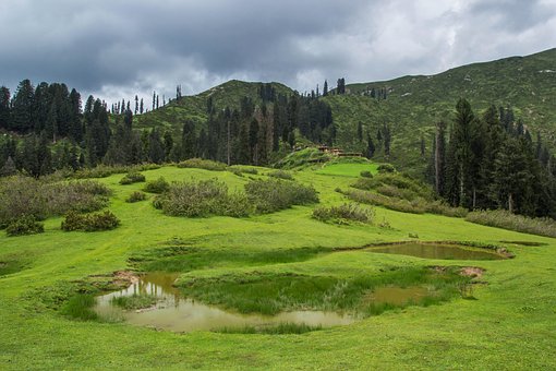 Free Meadows Green photo and picture