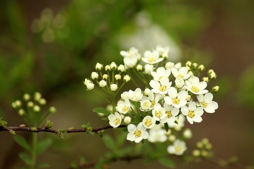 충청북도 어상천면 파산 어려울까요4