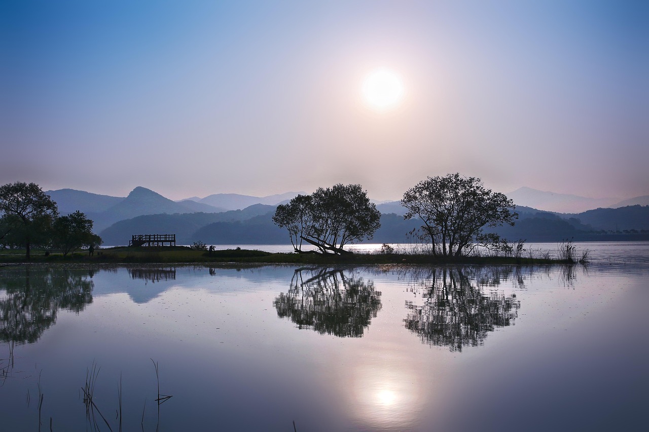1,000 + 무료 반영 & 자연 이미지 - Pixabay