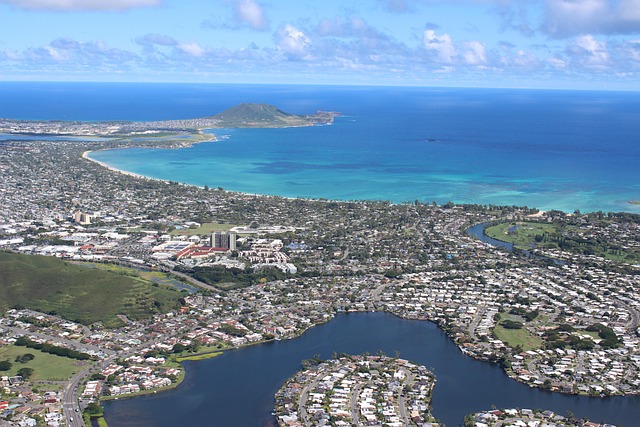 Free Flight Shore photo and picture