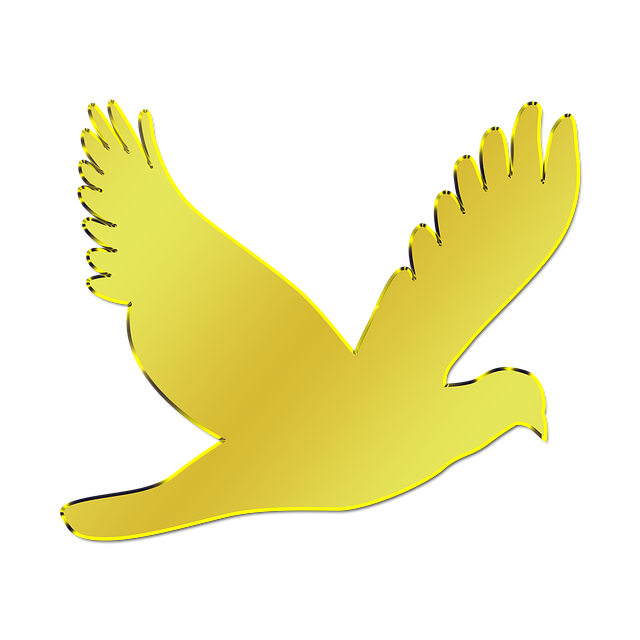 Free paloma bird animal illustration