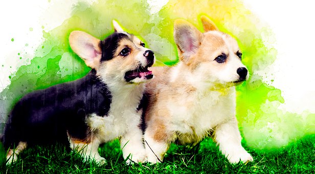 Free Watercolor Dog illustration and picture