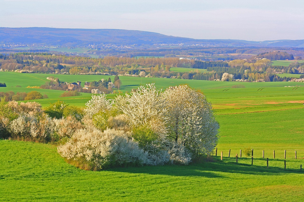 Download free HD stock image of Spring Nature Free Spring Nature photo and picture