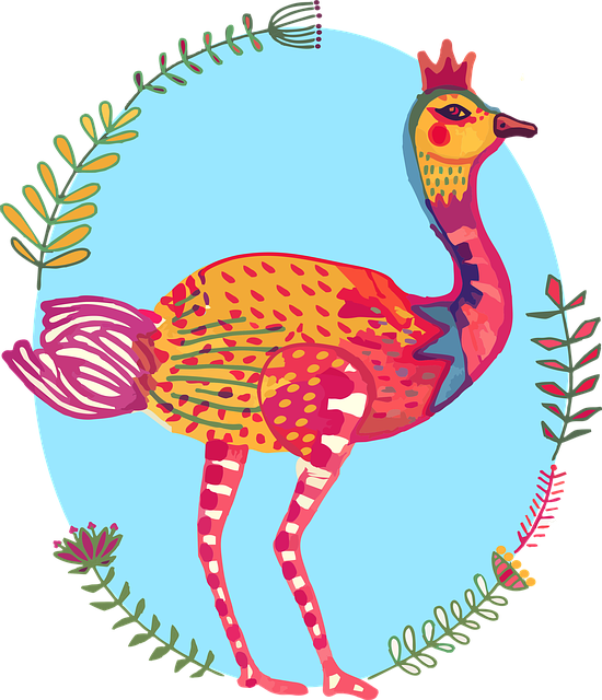 Free Ostrich Bird illustration and picture