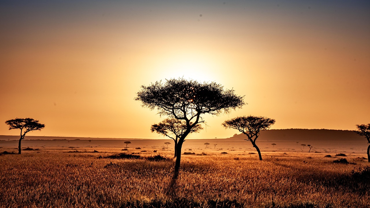 Plus De 1 000 Images De Savane Et De Afrique Pixabay Plus De 1 000 Images De Savane Et De Afrique Pixabay