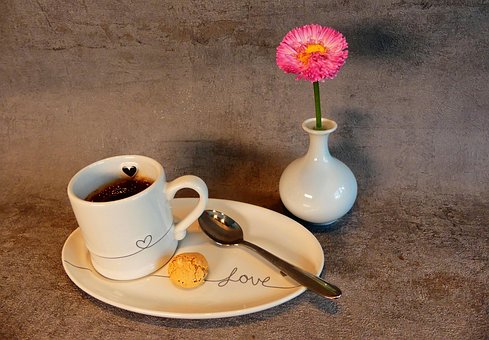 Free Espresso Gray photo and picture