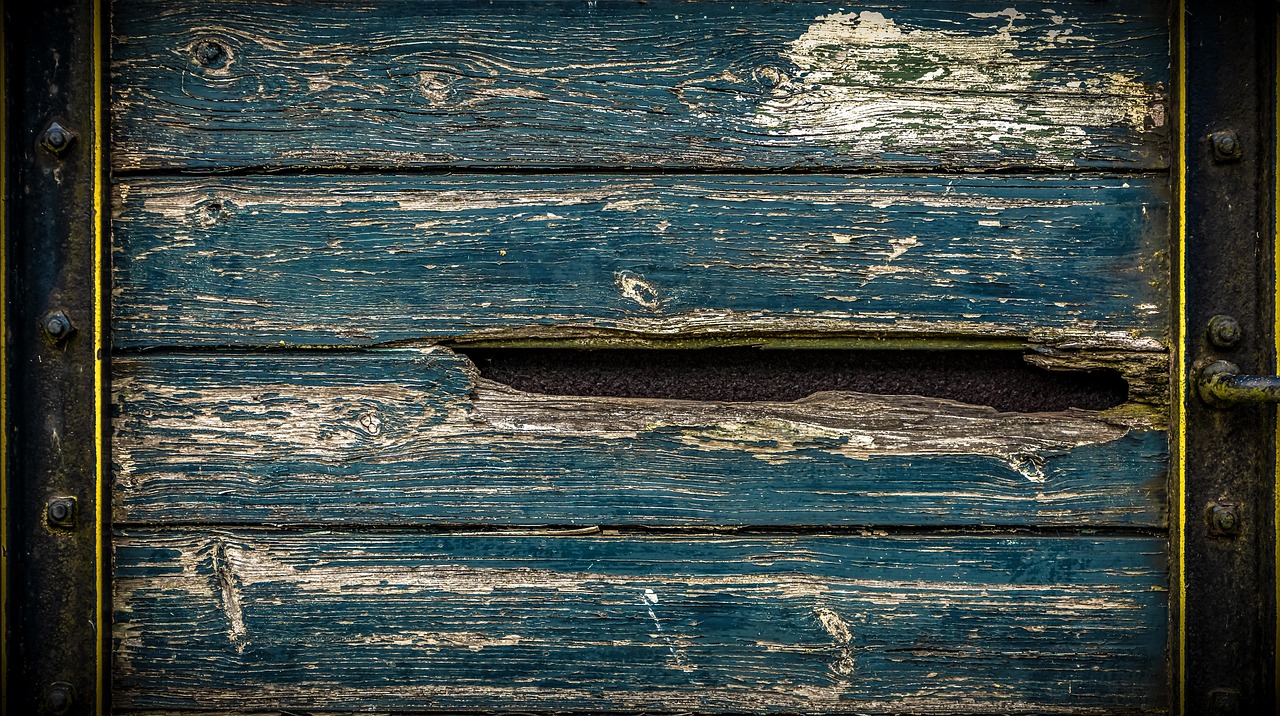 Wood - free online jigsaw puzzle photo
