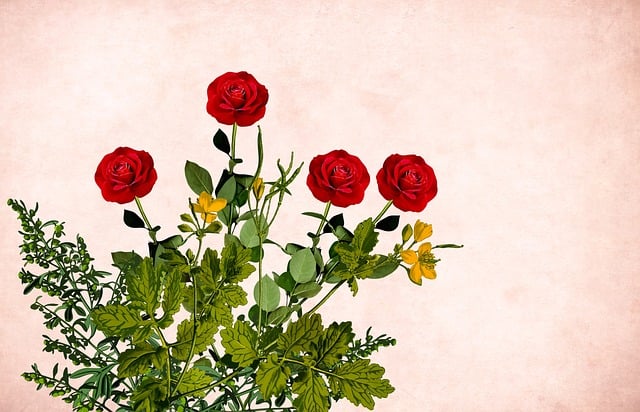 Free flower floral background illustration