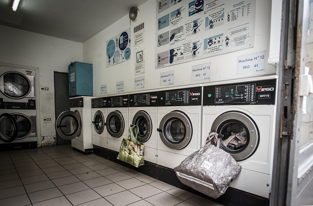 Laundry Laundromat Washer Free photo on