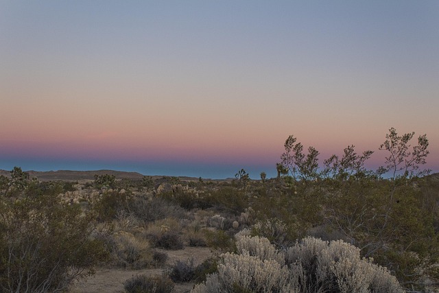 Free Desert Sky photo and picture