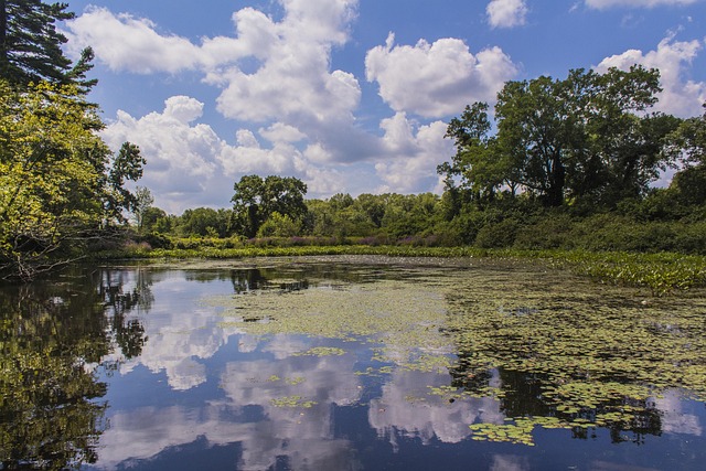 Free Reflection Water photo and picture