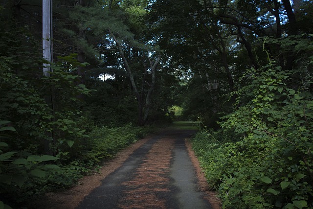 Free Nature Ominous photo and picture