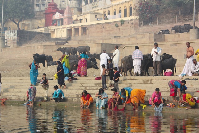 Free India Banner System photo and picture