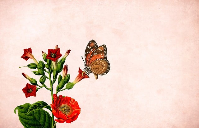 Free flower floral background illustration
