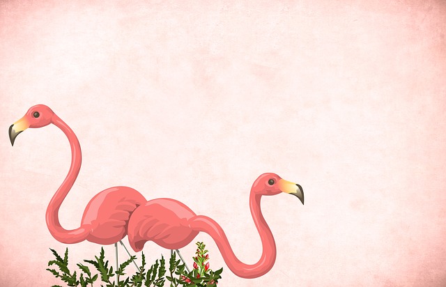 Free flamingo bird background illustration