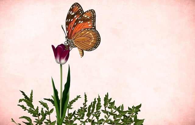 Free flower floral background illustration