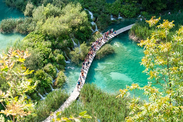 Free Croatia The Needle photo and picture