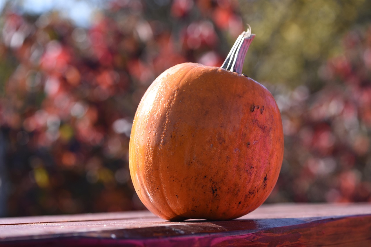 Vegetables - free online jigsaw puzzle photo