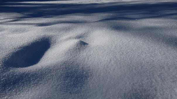 Free Snow The Shade photo and picture