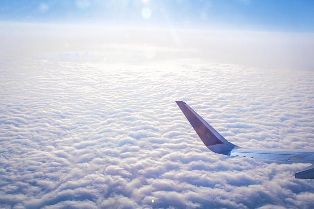 Free Plane Flight photo and picture