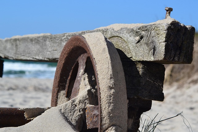 Free Wheel Winds photo and picture