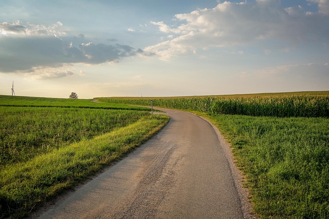 Path Road Landscape - Free photo on Pixabay