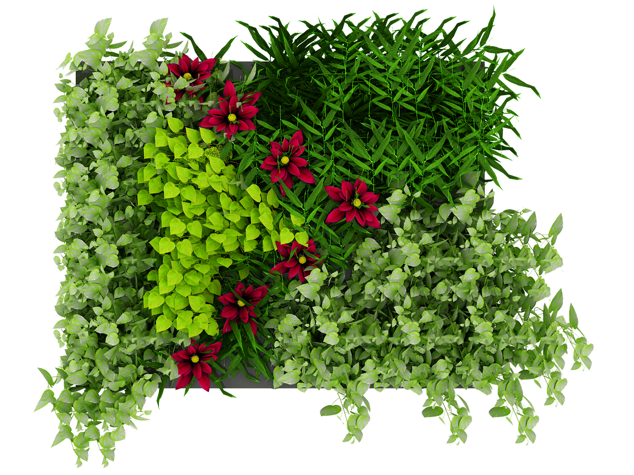 Download Green, Wall, Leaves. Royalty-Free Stock Illustration Image ...