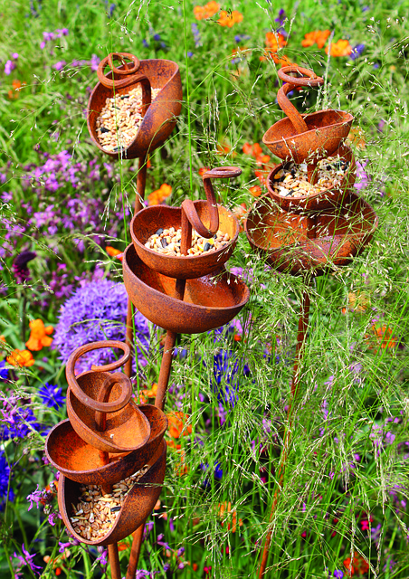 Free Bird Feeder Seeds photo and picture