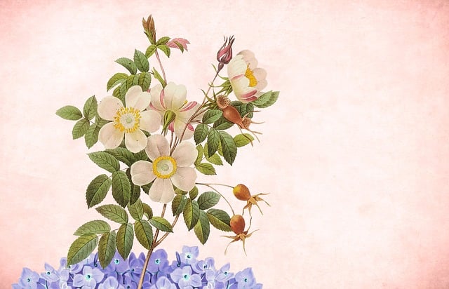 Free flower floral background illustration