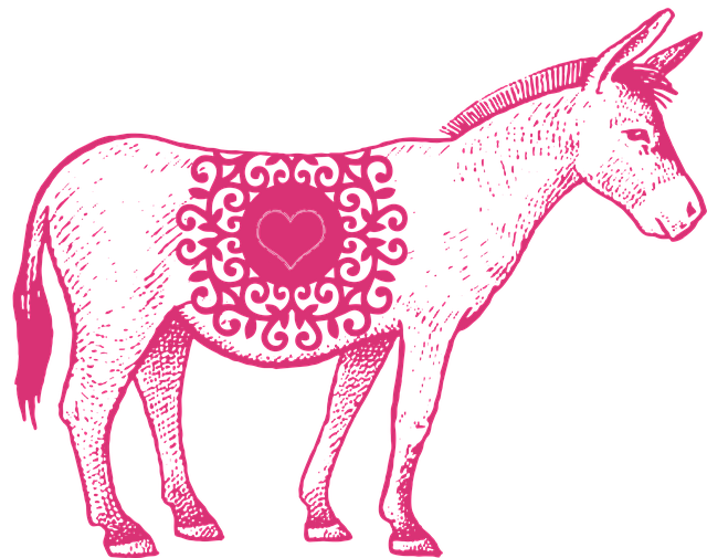 Free Donkey Farm Animal illustration and picture