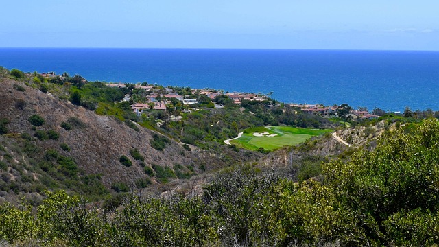 Free Pelican Hill Ocean photo and picture